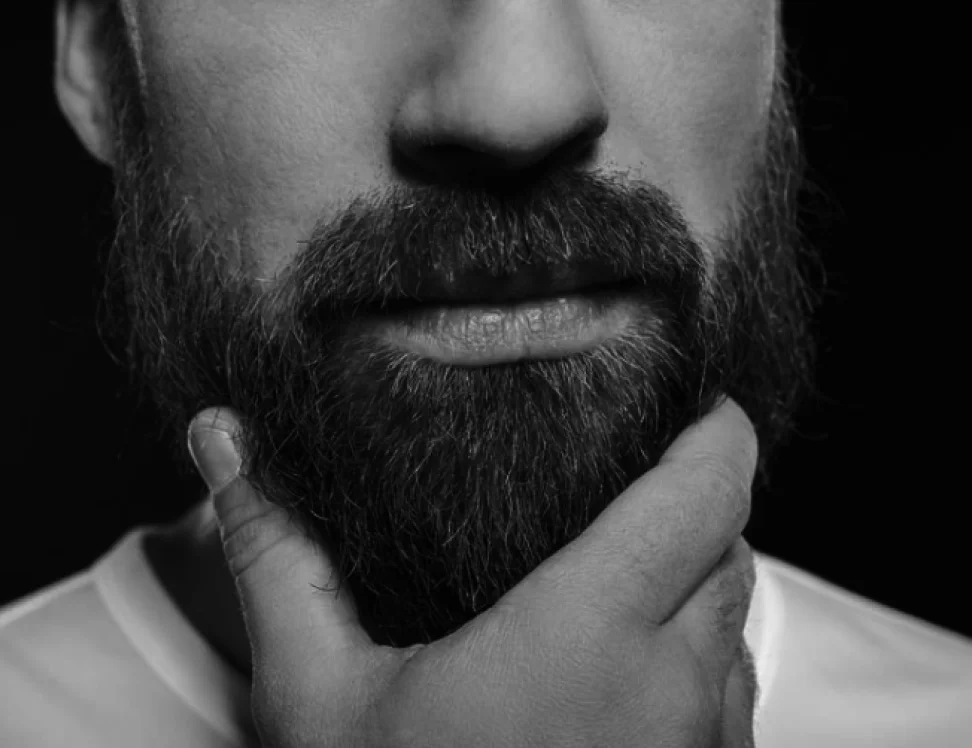 BarBa PM
